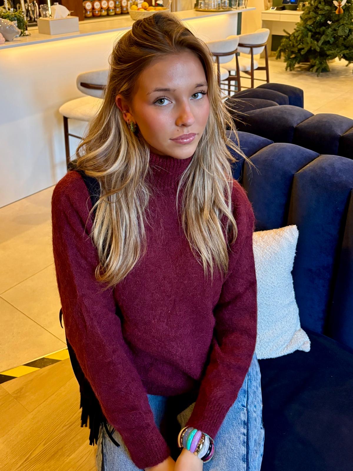 Col roulé bordeaux - DONA